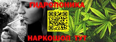 прущий лед Обь